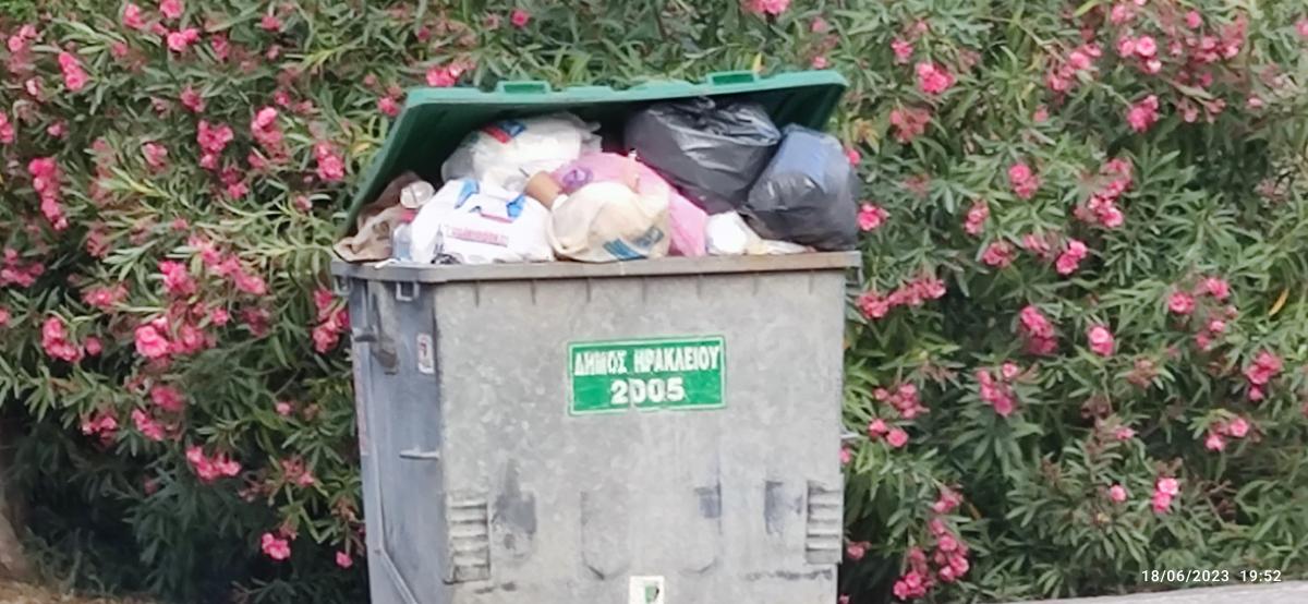 Από Πανεπιστημιακό νοσοκομείο, σε χωματερή για... αδέσποτα (pics) 4 Από Πανεπιστημιακό νοσοκομείο, σε χωματερή για... αδέσποτα (pics)
