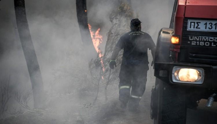Κρήτη: Σε ύφεση η φωτιά που ξέσπασε στο Λασίθι (pic)