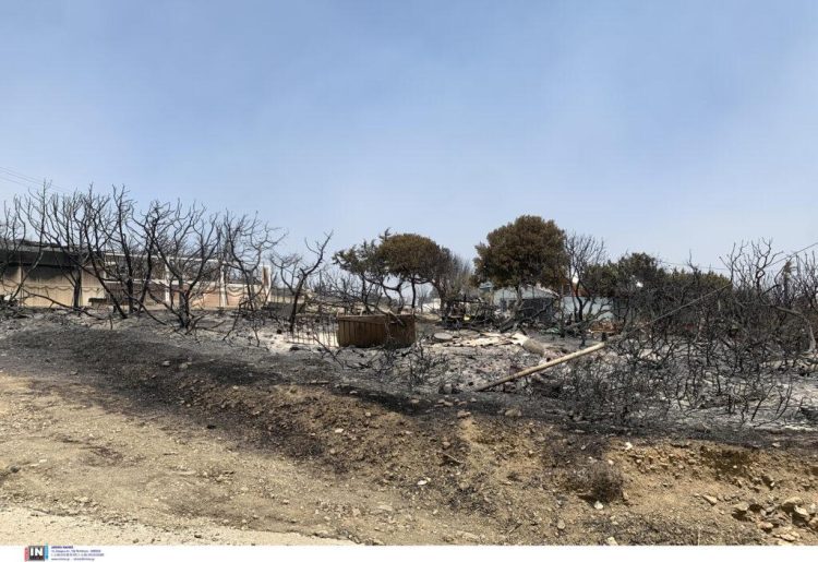ΥΠΑΑΤ: Άμεσα η καταγραφή των ζημιών από τις πυρκαγιές στην Ρόδο – Μεταβαίνει κλιμάκιο του ΕΛΓΑ