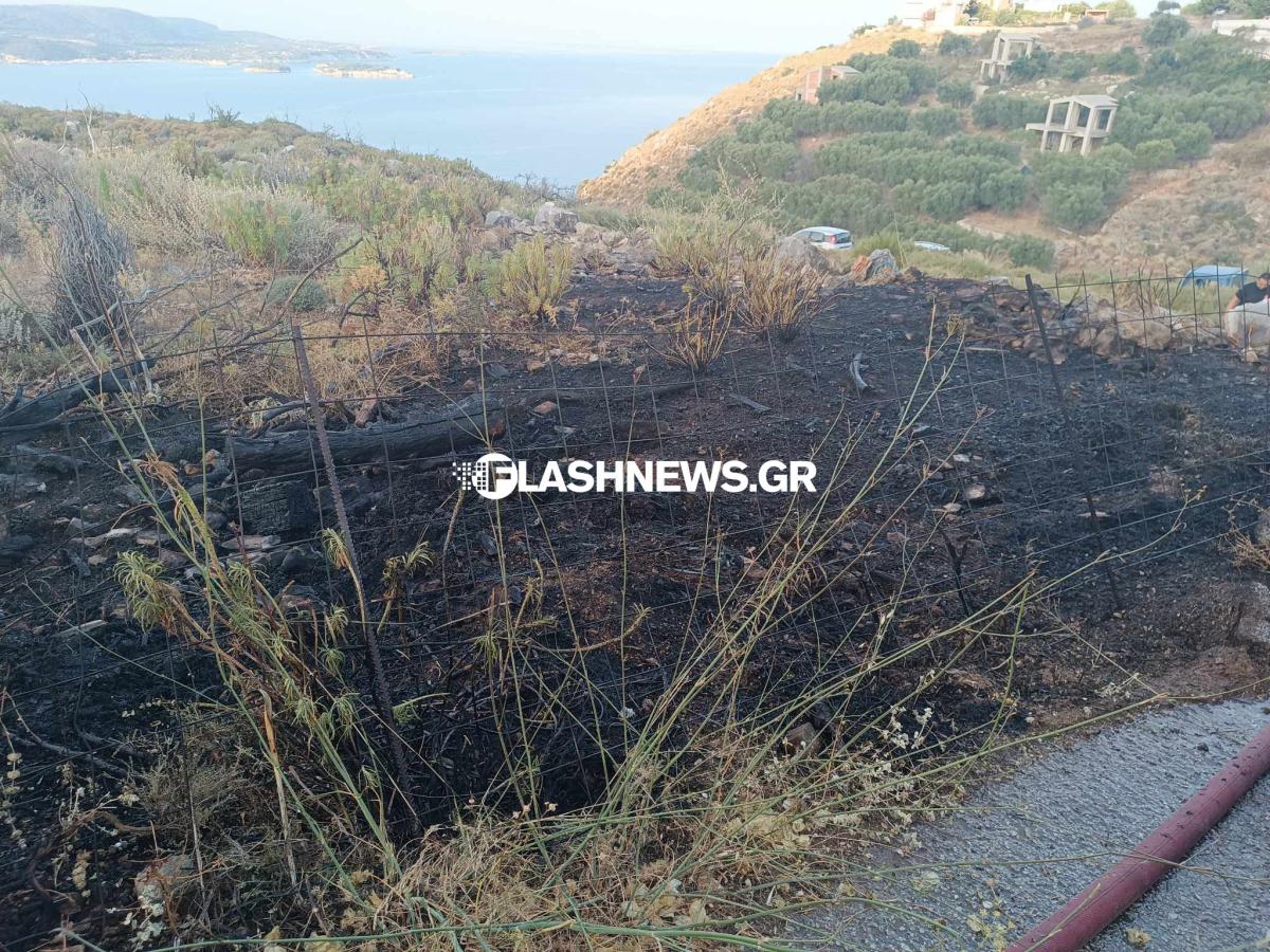 Κρήτη: Πυρκαγιά σε χωράφι απείλησε κατοικίες (pics)