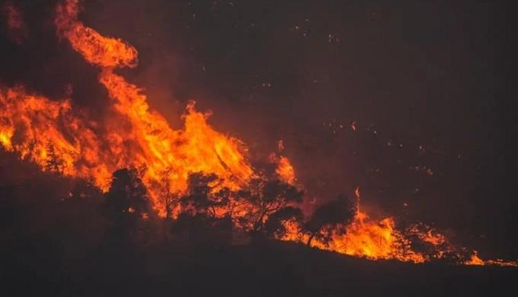 Στάχτη 15 στρέμματα από φωτιά στη Σητεία- Μέχρι τα ξημερώματα η μάχη με τις φλόγες
