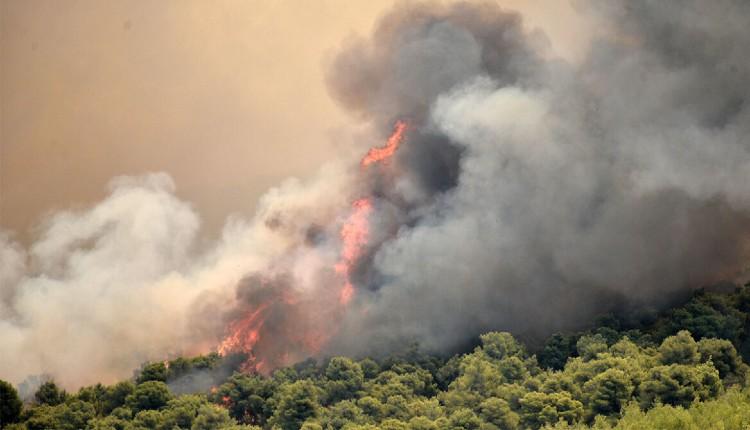Κίνδυνος Πυρκαγιάς πολύ υψηλός αύριο Πέμπτη 27 Ιουλίου 2023 για όλη την Κρήτη