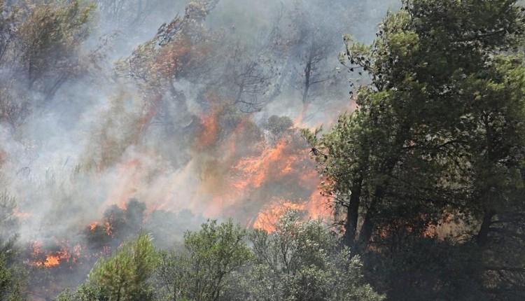 Θεσσαλoνίκη: Φωτιά στον Λαγκαδά