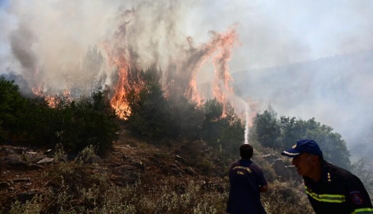 Κρήτη: Συναγερμός στην Πυροσβεστική για πυρκαγιά στα Ανώγεια