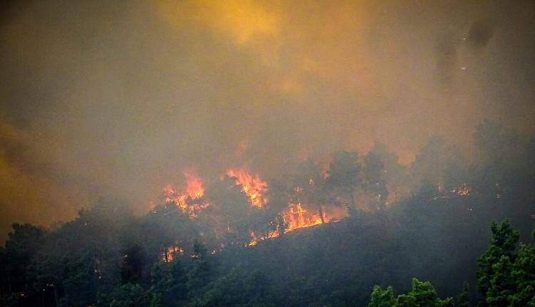 Καύσωνας και φωτιές μαστίζουν την νότια Ευρώπη και την Τουρκία (vid)