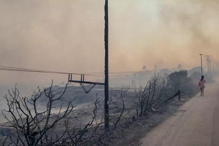 Φωτιά στη Ρόδο: Ο Ευθύμης Λέκκας εξηγεί γιατί αναπτύχθηκε ιλιγγιωδώς