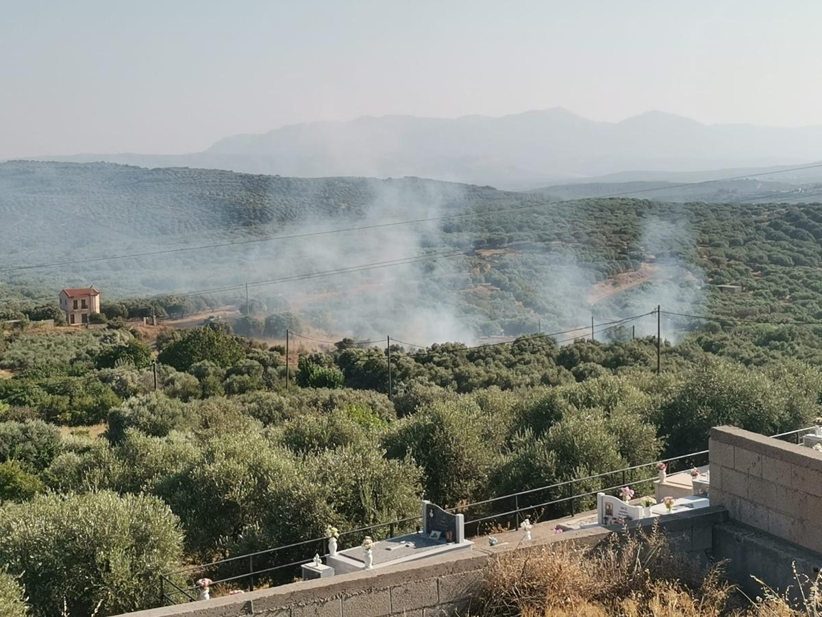 Ηράκλειο: Μεγάλη κινητοποίηση της Πυροσβεστικής για πυρκαγιά στο Νιπιδιτό (vid)