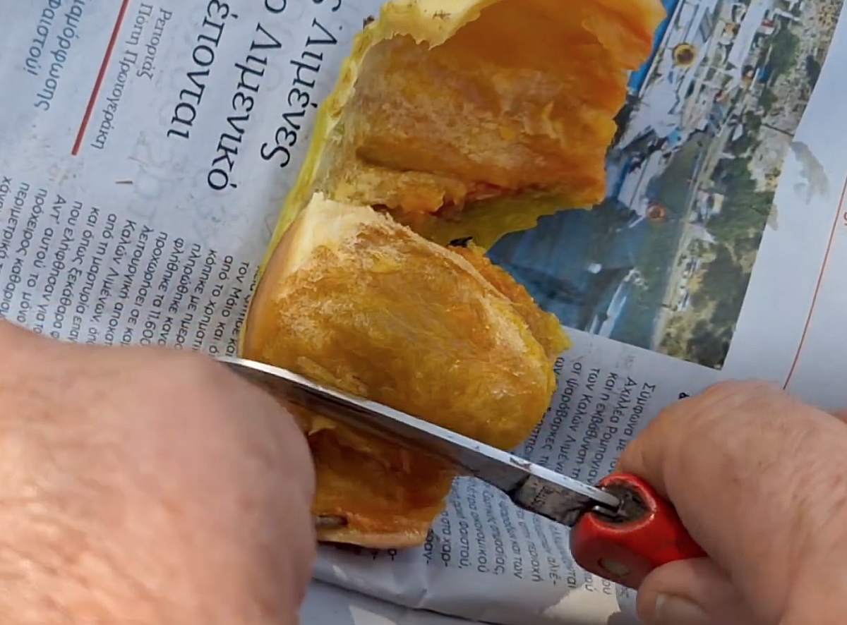 Πως καθαρίζουμε τα φραγκόσυκα (vid)
