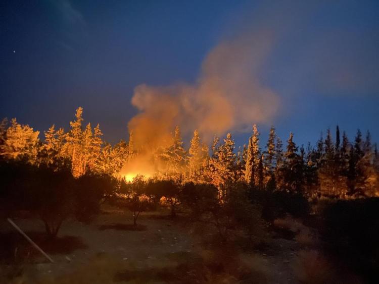 Συναγερμός στην Πυροσβεστική για φωτιά στη Μεσαρά,κοντά στον Αμπελούζο (pics)