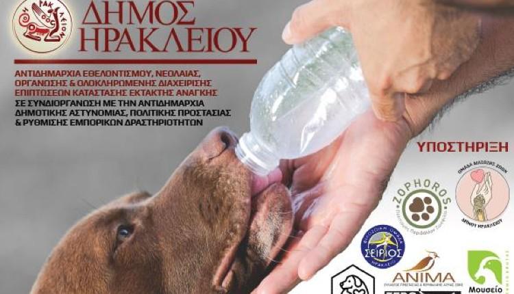 Επιμορφωτικό σεμινάριο με θέμα: «Εκπαίδευση Εθελοντών για τη διαχείριση ζώων σε κατάσταση έκτακτης ανάγκης»