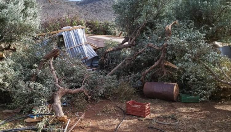 Kρήτη: Καταστροφές σε θερμοκήπια, ελιές και υποδομές από άνεμο και χαλάζι