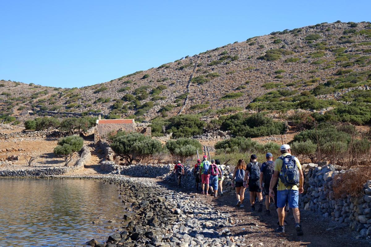 Δρόμοι Ζωής: Υπάρχει κι αυτή η Κολοκύθα... και πάμε!