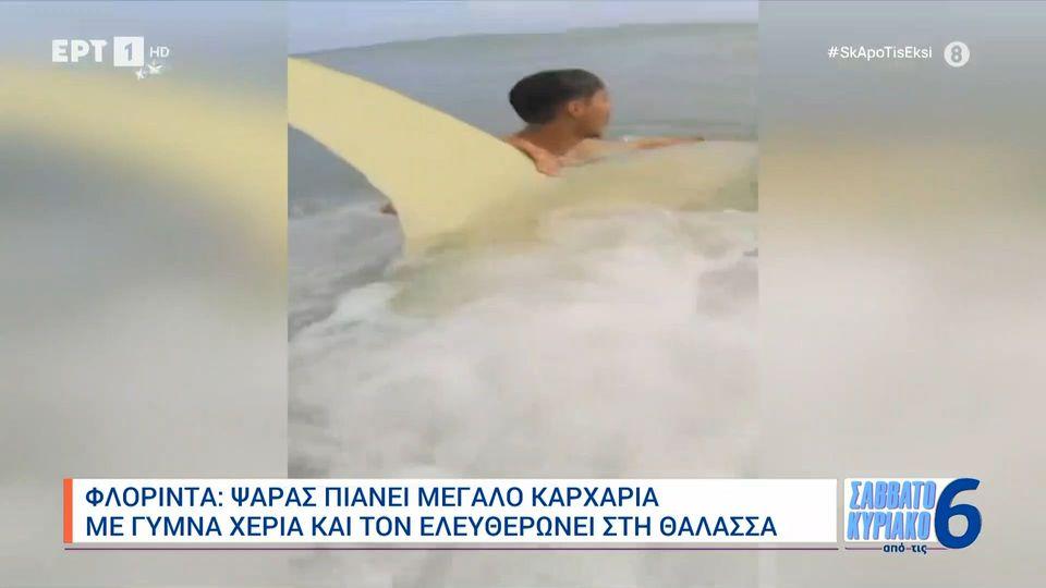 Φλόριντα: Ψαράς πιάνει μεγάλο καρχαρία με γυμνά χέρια και τον ελευθερώνει στη θάλασσα