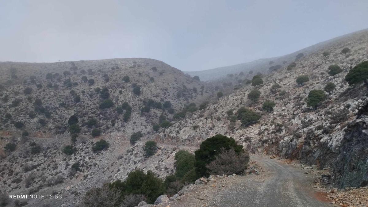 Ηράκλειο: Στα λευκά ντύθηκε το δάσος του Ρούβα - Μαγευτικές εικόνες 12 Ηράκλειο: Στα λευκά ντύθηκε το δάσος του Ρούβα - Μαγευτικές εικόνες