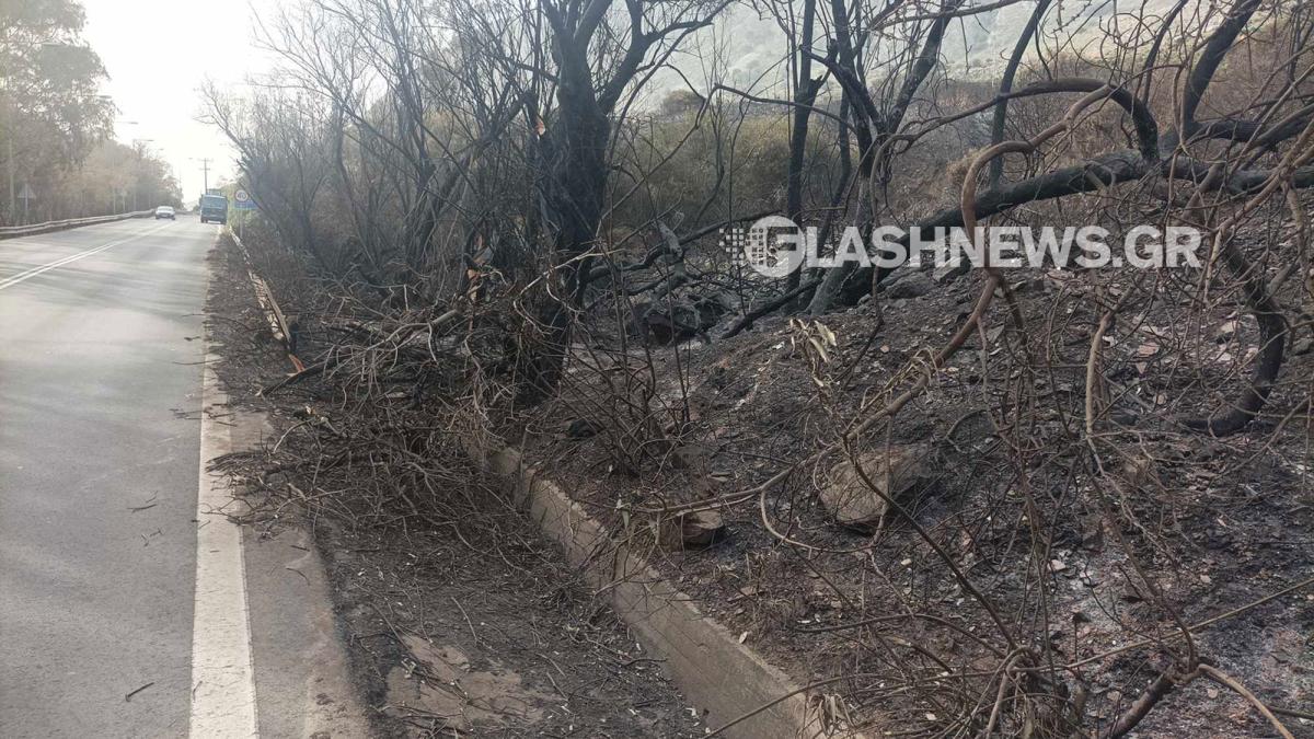 Εικόνες καταστροφής άφησε πίσω της η μεγάλη φωτιά στα Χανιά (pics)