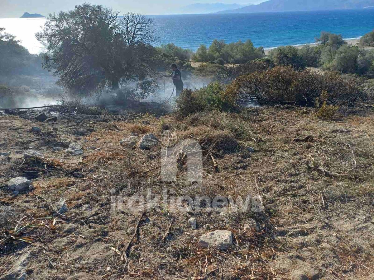 Ηράκλειο: Στο «πόδι» η Πυροσβεστική για πυρκαγιά στην παραλία του Κωμού - Κάηκε ολοσχερώς καλύβα - Συνεχείς αναζωπυρώσεις λόγων ανέμων (pics + vids)
