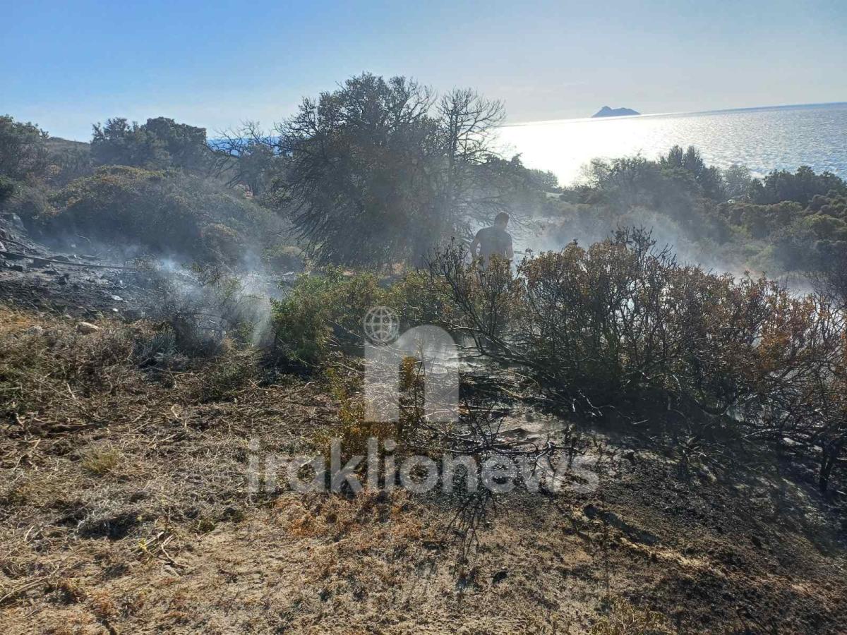 Ηράκλειο: Στο «πόδι» η Πυροσβεστική για πυρκαγιά στην παραλία του Κωμού - Κάηκε ολοσχερώς καλύβα - Συνεχείς αναζωπυρώσεις λόγων ανέμων (pics + vids)
