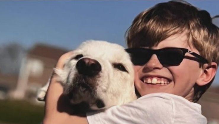 Αυτοκτόνησε 10χρονος μετά από φρικτό bullying – Τον κορόιδευαν για τα γυαλιά και τα δόντια του