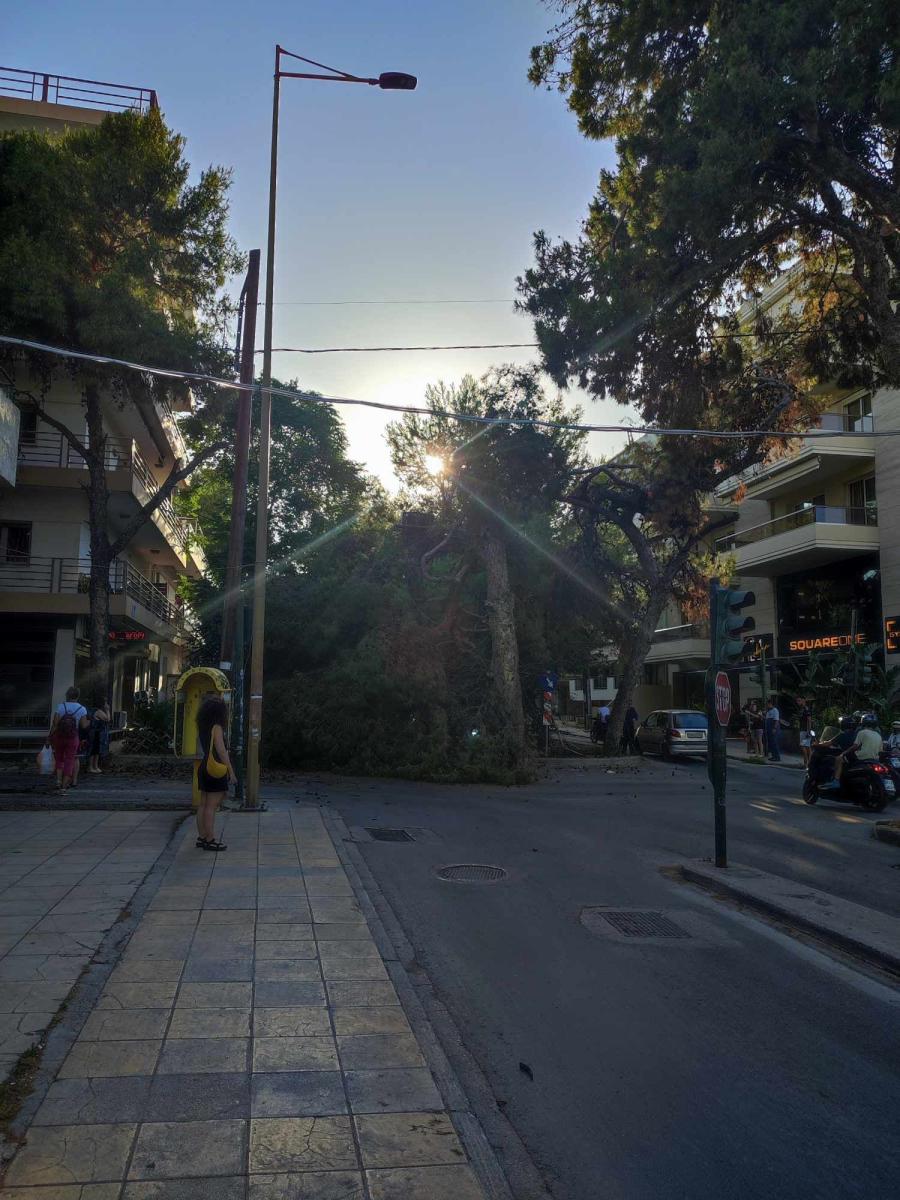 Ηράκλειο: Από θαύμα δεν είχαμε τραυματισμούς - Έπεσε μεγάλο δέντρο στην περιοχή του Μασταμπά!