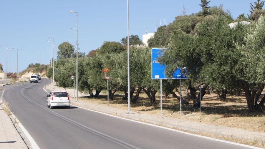 Ηράκλειο: Τι να κρύβουν άραγε οι ταμπέλες πίσω από τις ελιές; (pics)