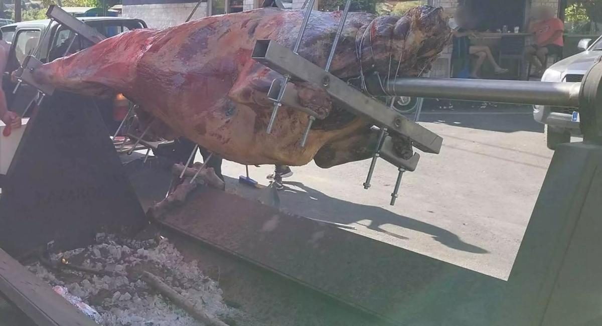 Ταύρος 215 κιλών σουβλίζεται σε χωριό της Κρήτης και οι φιλόζωοι ξεσπούν για τις εικόνες και την αφίσα