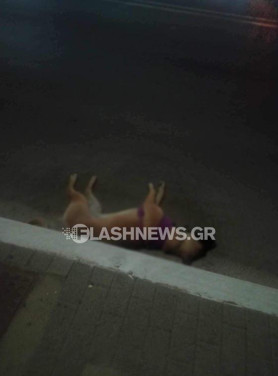 Κρήτη: Σοκαριστικό βίντεο από το τροχαίο όπου σκοτώθηκε σκύλος