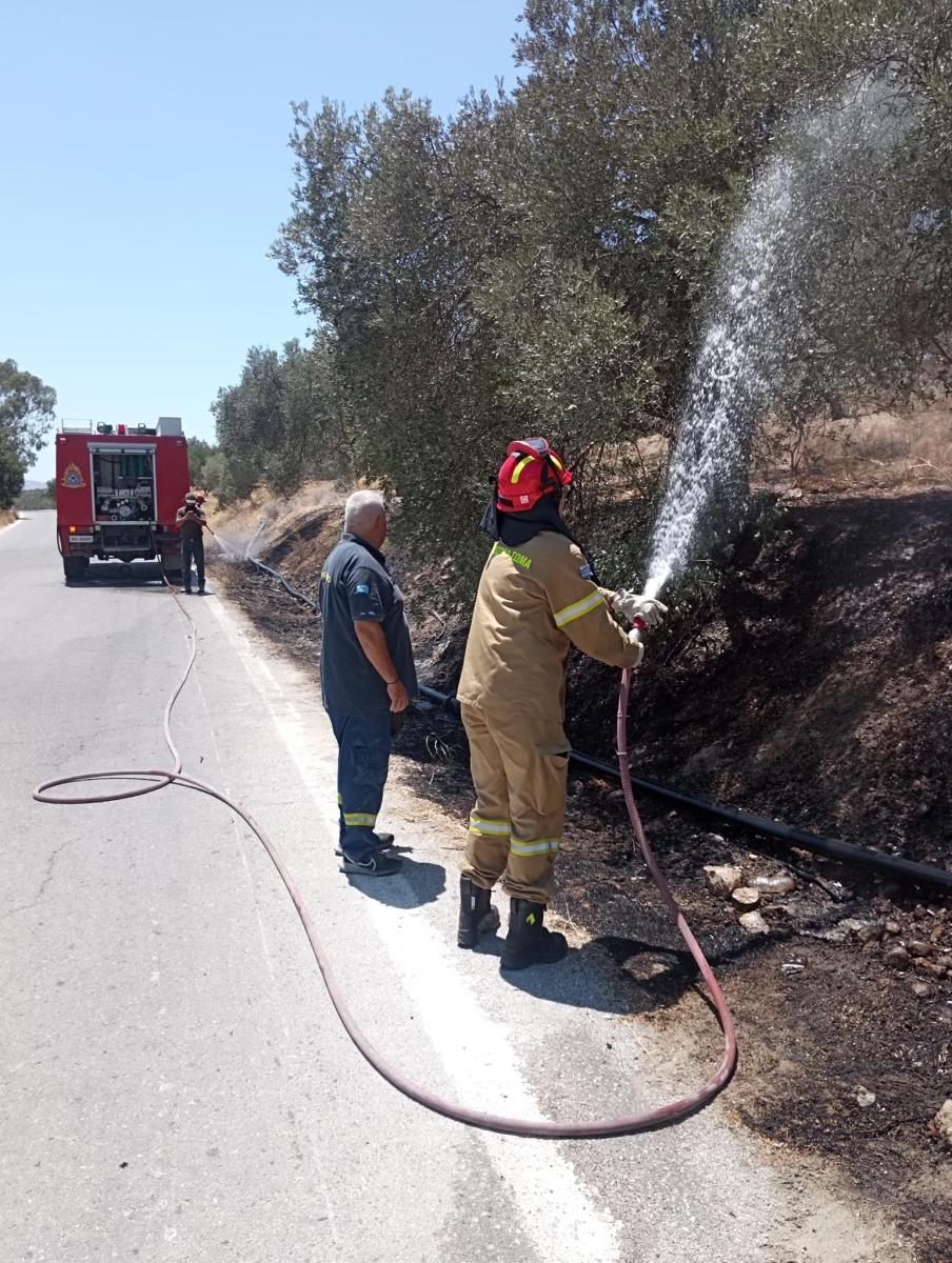 Μεσαρά: Ξέσπασαν ταυτόχρονα τέσσερις εστίες φωτιάς - Κινητοποίηση της Πυροσβεστικής