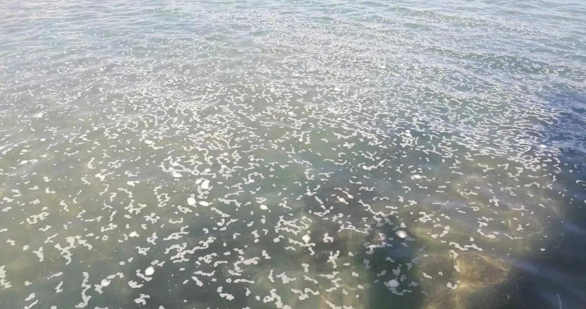 Παραλία της Κρήτης γεμάτη από λύματα! (pics)
