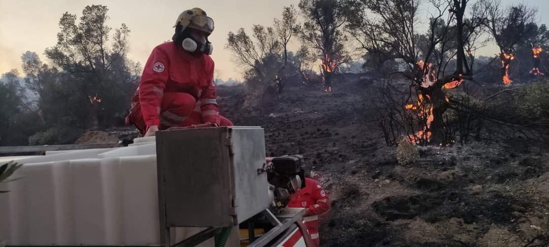 Στάχτη και αποκαΐδια αφήνει η φωτιά στο Ρέθυμνο - Ανυπολόγιστες οι καταστροφές (pics & vid)