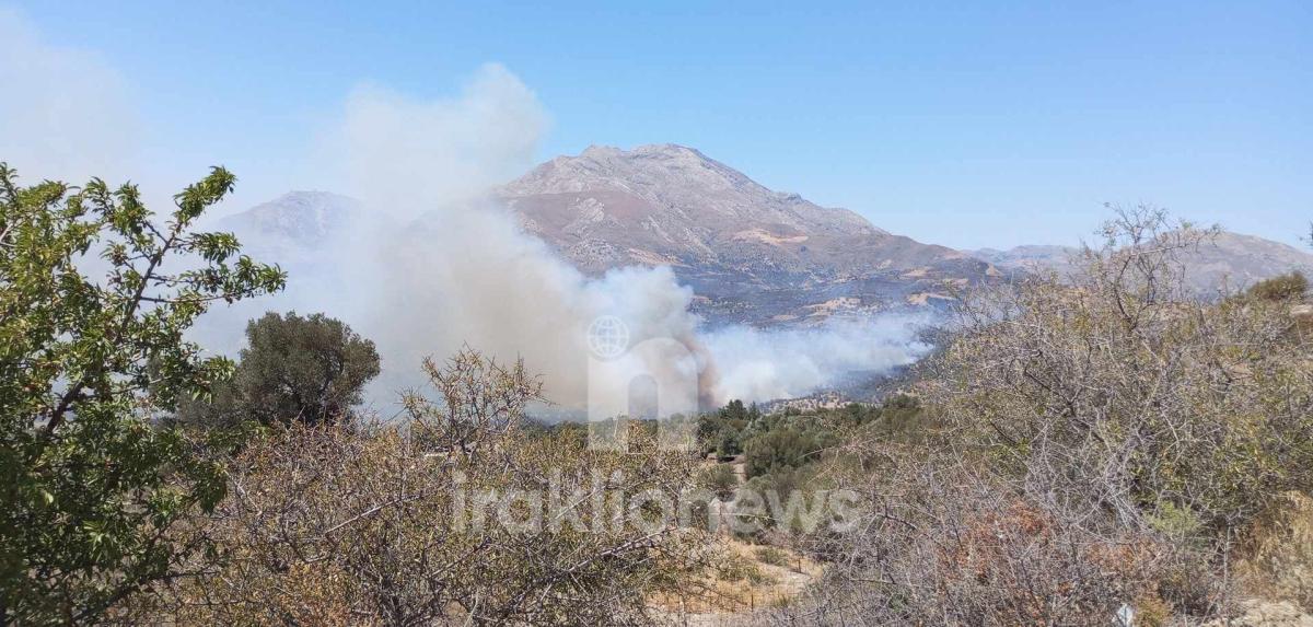 Φωτιά στο Ρέθυμνο: Τεράστιες διαστάσεις με πολλά μέτωπα – Νέες ενισχύσεις πυροσβεστών από Αθήνα και Ρόδο - Ολονύχτια η «μάχη» με τις φλόγες (pics & vid)