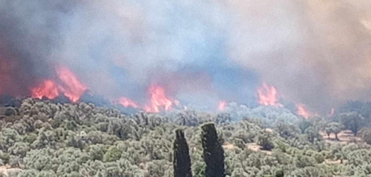 Ολονύχτια η «μάχη» με τις φλόγες στο Ρέθυμνο - Σε καλύτερη κατάσταση η πυρκαγιά - Στο Αμάρι ο Βασίλης Κικίλιας (pics & vid)