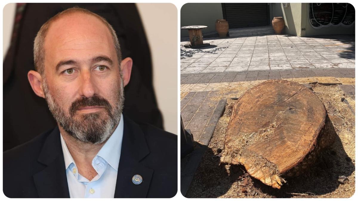 Αφέθηκε ελεύθερος ο Νίκος Γιαλιτάκης - Όσα ανέφερε ο Δήμαρχος Ηρακλείου για την υπόθεση
