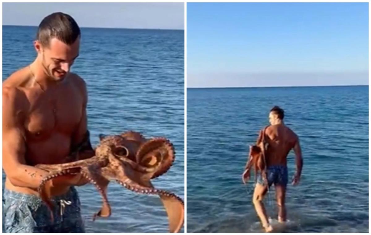 Γιγαντιαίο χταπόδι… αγάπησε μοντέλο που κολυμπούσε και κόλλησε πάνω του
