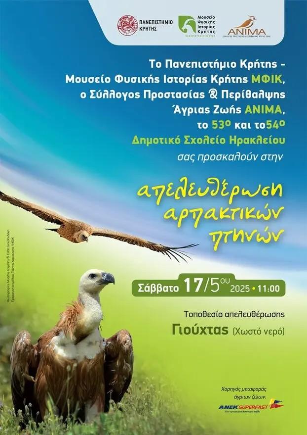 Ηράκλειο: Εκπαιδευτικές δράσεις για την άγρια ζωή και απελευθέρωση αρπακτικών πουλιών στις Αρχάνες