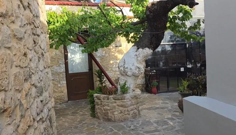 Βερικοκιά