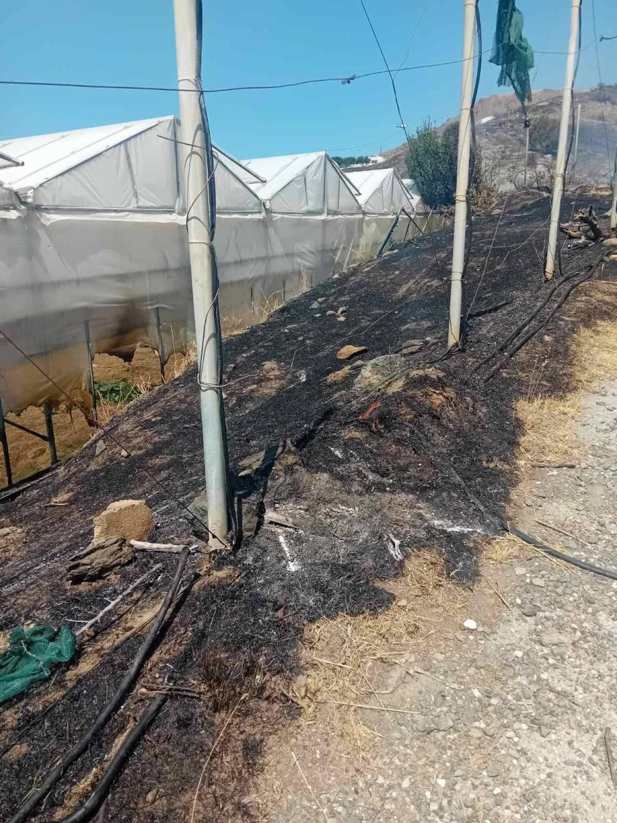 Μεσαρά: Υπό έλεγχο η μεγάλη φωτιά – Ενεργοποίηση επίγειων και εναέριων δυνάμεων - Τραυματίστηκε πυροσβέστης - Εικόνες και βίντεο 3 Μεσαρά: Υπό έλεγχο η μεγάλη φωτιά – Ενεργοποίηση επίγειων και εναέριων δυνάμεων - Τραυματίστηκε πυροσβέστης - Εικόνες και βίντεο