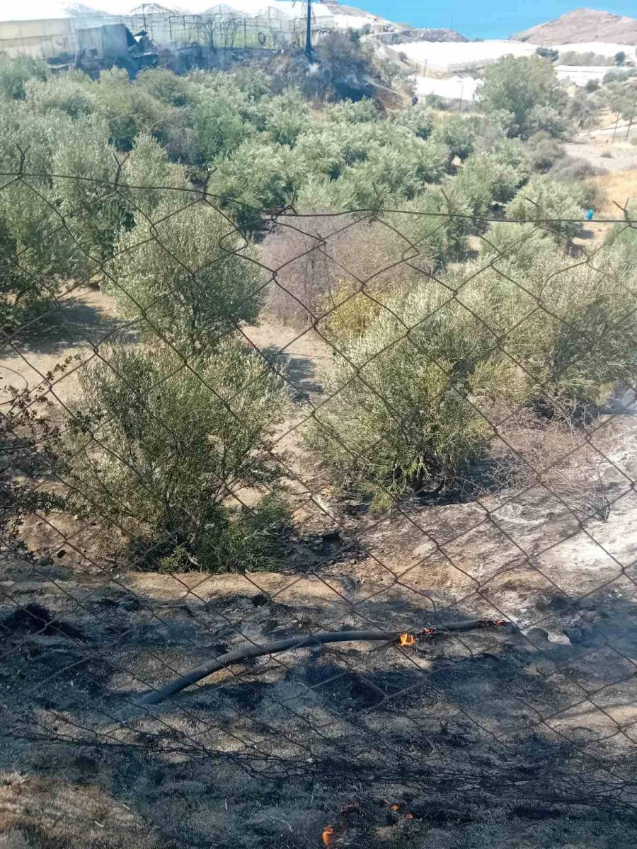 Μεσαρά: Υπό έλεγχο η μεγάλη φωτιά – Ενεργοποίηση επίγειων και εναέριων δυνάμεων - Τραυματίστηκε πυροσβέστης - Εικόνες και βίντεο 5 Μεσαρά: Υπό έλεγχο η μεγάλη φωτιά – Ενεργοποίηση επίγειων και εναέριων δυνάμεων - Τραυματίστηκε πυροσβέστης - Εικόνες και βίντεο