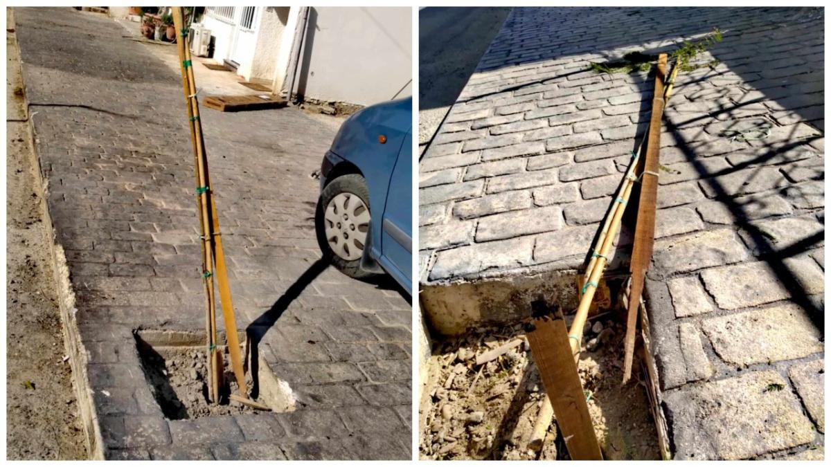 Τυμπάκι: Τα δεντράκια... θύματα παρκαρισμένων αυτοκινήτων και πριονιών – Καταγγελία κατοίκου για βανδαλισμούς!