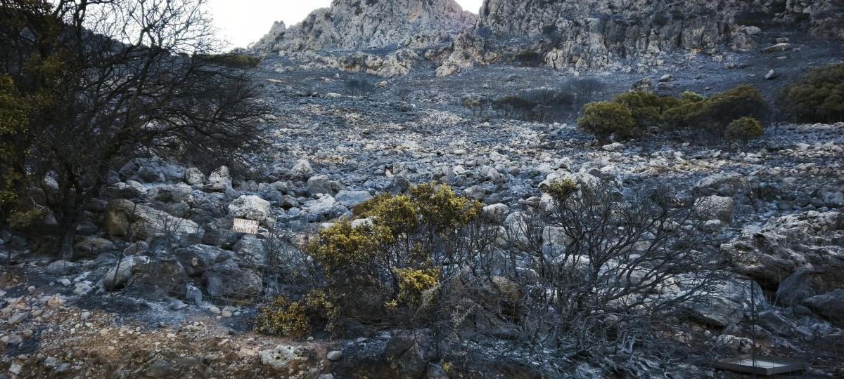 Κρήτη: Πύρινη καταστροφή στο Σέλινο - Στάχτη και αποκαΐδια χιλιάδες στρέμματα