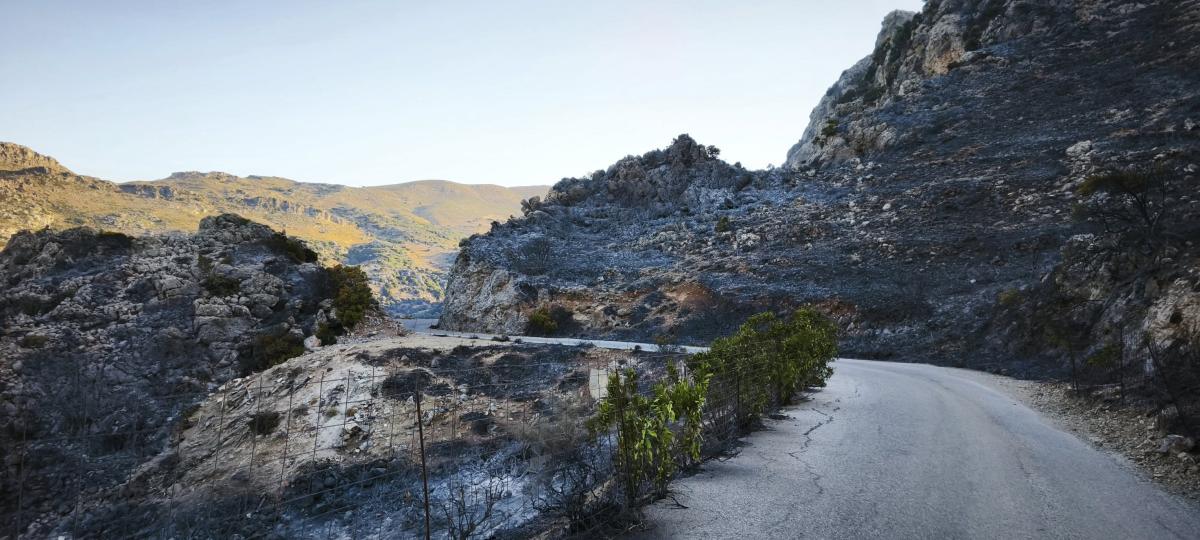 Κρήτη: Πύρινη καταστροφή στο Σέλινο - Στάχτη και αποκαΐδια χιλιάδες στρέμματα