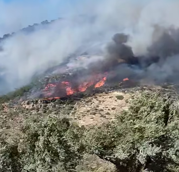 Κόλαση φωτιάς στην Ιεράπετρα: Ολονύχτια η «μάχη» με τις φλόγες - Συνεχείς αναζωπυρώσεις - Εκτός ελέγχου η κατάσταση - Δείτε βίντεο & εικόνες