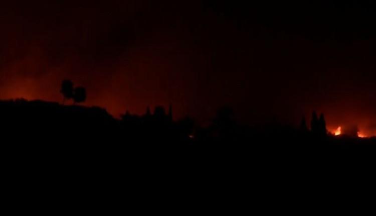 Πύρινη κόλαση σε Ανατολική Αττική και Αρχαία Ολυμπία – Νεκρός ηλικιωμένος, μαζικές εκκενώσεις μέσα στη νύχτα - LIVE εικόνα