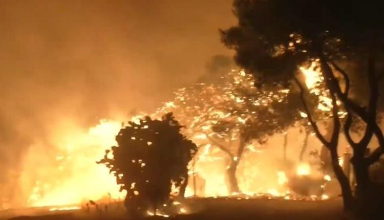 Πύρινη κόλαση σε Ανατολική Αττική και Αρχαία Ολυμπία – Νεκρός ηλικιωμένος, μαζικές εκκενώσεις μέσα στη νύχτα - LIVE εικόνα