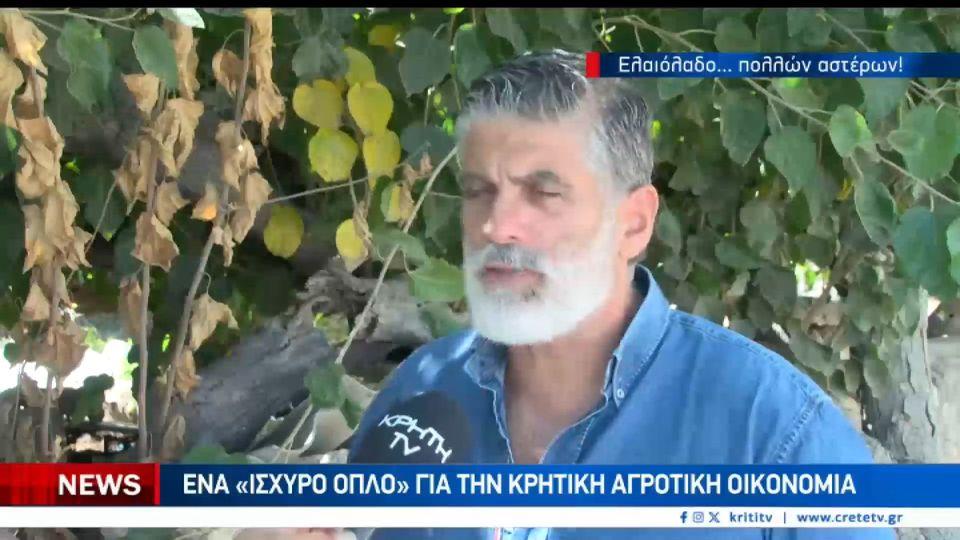 Κρητικό ελαιόλαδο πολλών αστέρων και με ευρωπαική σφραγίδα