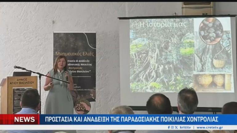 Χοντρολιά Κρήτης: Κινδυνεύει με εξαφάνιση η αρχαία ποικιλία