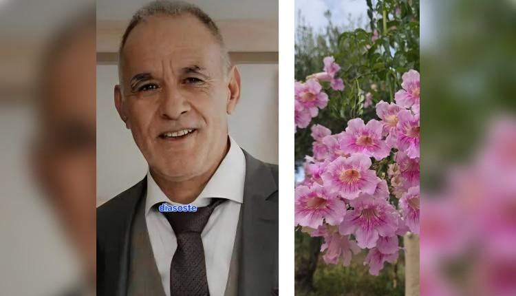 τροχαίο
