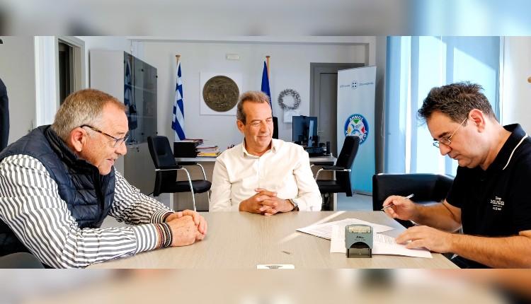 Ελιά