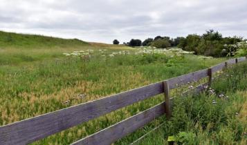ΟΠΕΚΕΠΕ χωράφι