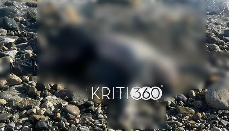 Σορός άνδρα ξεβράστηκε σε παραλία της Κρήτης - Σκληρές εικόνες 3 Σορός άνδρα ξεβράστηκε σε παραλία της Κρήτης - Σκληρές εικόνες