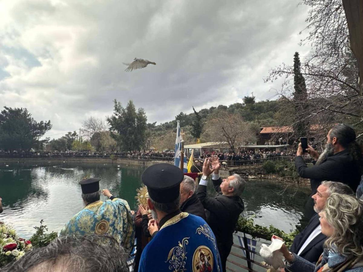 Ζαρός: Ρίψη σταυρού στα πιο... παγωμένα ύδατα της Κρήτης! - Δείτε εικόνες 8 Ζαρός: Ρίψη σταυρού στα πιο... παγωμένα ύδατα της Κρήτης! - Δείτε εικόνες